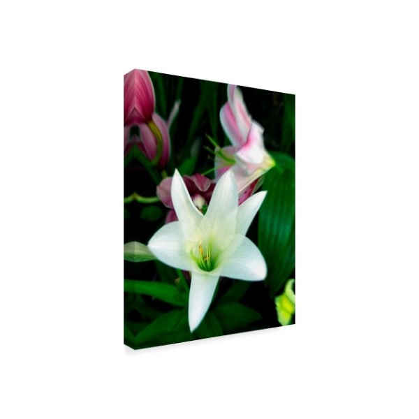 J.D. Mcfarlan 'Lily White Floral' Canvas Art,14x19
